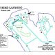 Ladybird Landing Map