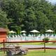 Outdoor pool area with lounge chairs and umbrellas — shows on-site recreation facilities and poolscape that appear on the property page.