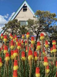 Santa Fe Rancheros RV Park