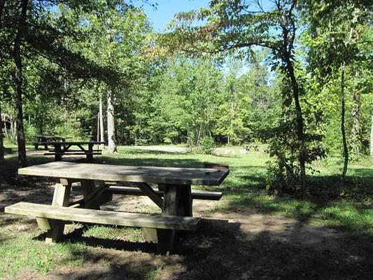 Chilhowee Group Camp, Loop: CHILHOWEE GROUP CAMP