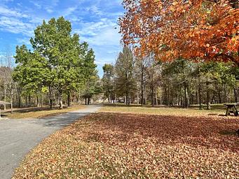 North Fork (KY)