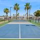 A pickleball court with blue and green surfaces, surrounded by palm trees and a chain-link fence under a clear blue sky in apache junction az