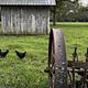Fulmer's Farmstead