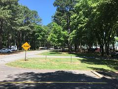 Campground