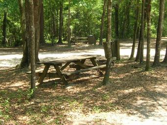 Campground image 2