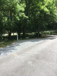 Angled view of campsite and adjacent paved access road with picnic bench and trees — provides additional perspective of site layout and road access shown on the Sites page.