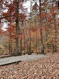 Lake Powhatan in the fall
