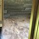 2019 Dutchmen RV Coleman Light 2405BH