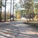 Wide pathway/grounds view looking toward the pond and fountain framed by tall pines — a good overall property/landscape shot from the site's gallery (IMG_8921).