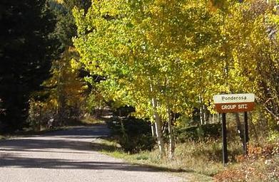 Ponderosa Group - Lake Isabel