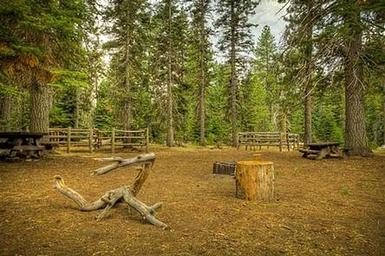 Whispering Pines Horse Camp