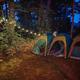 Campspot slideshow image 2