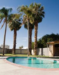 On-site swimming pool with palm trees and fencing visible; labeled on the site’s Amenities/Activities page, useful to show park facilities and landscaping.