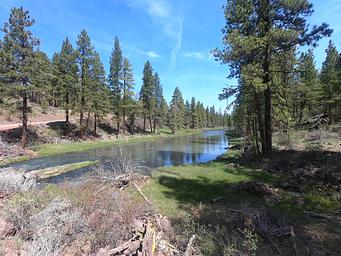View from Miller Creek campsite.