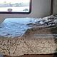 2019 Forest River RV Sunseeker 3040DS Ford