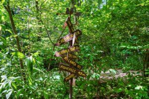 River's Edge Treehouse Resort