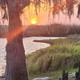 Seminole Ranch Conservation Area Hatbill SJRWMD