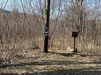 Indian hollow emergency pay phone. 