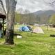 Cartoogechaye Creek Campground