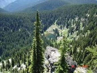 COLD SPRINGS PEAK CABIN