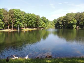 Wide lake panorama showing shoreline, trees and water — attractive scenic overview of the campground grounds (background image on site).