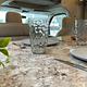 Your Home on Wheels! Furry friend approved!