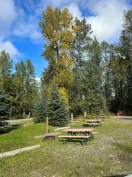 Open grassy area with multiple picnic tables, fire rings, and campground trees — shows on-site picnic/campsite facilities and surroundings (from Events/Blog page context).