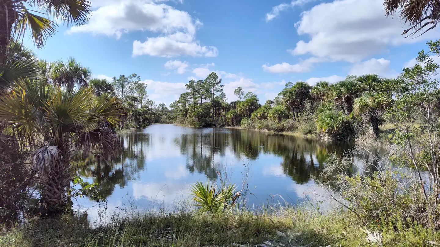 Gator Head Campground