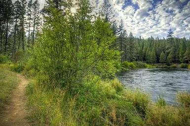 ALLEN SPRINGS CAMPGROUNDw