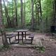 Rock Creek Campground (TN)