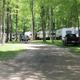 Tree-lined RV loop with multiple RVs and pull-through sites — clear view of typical campsite layout shown on the homepage background images.