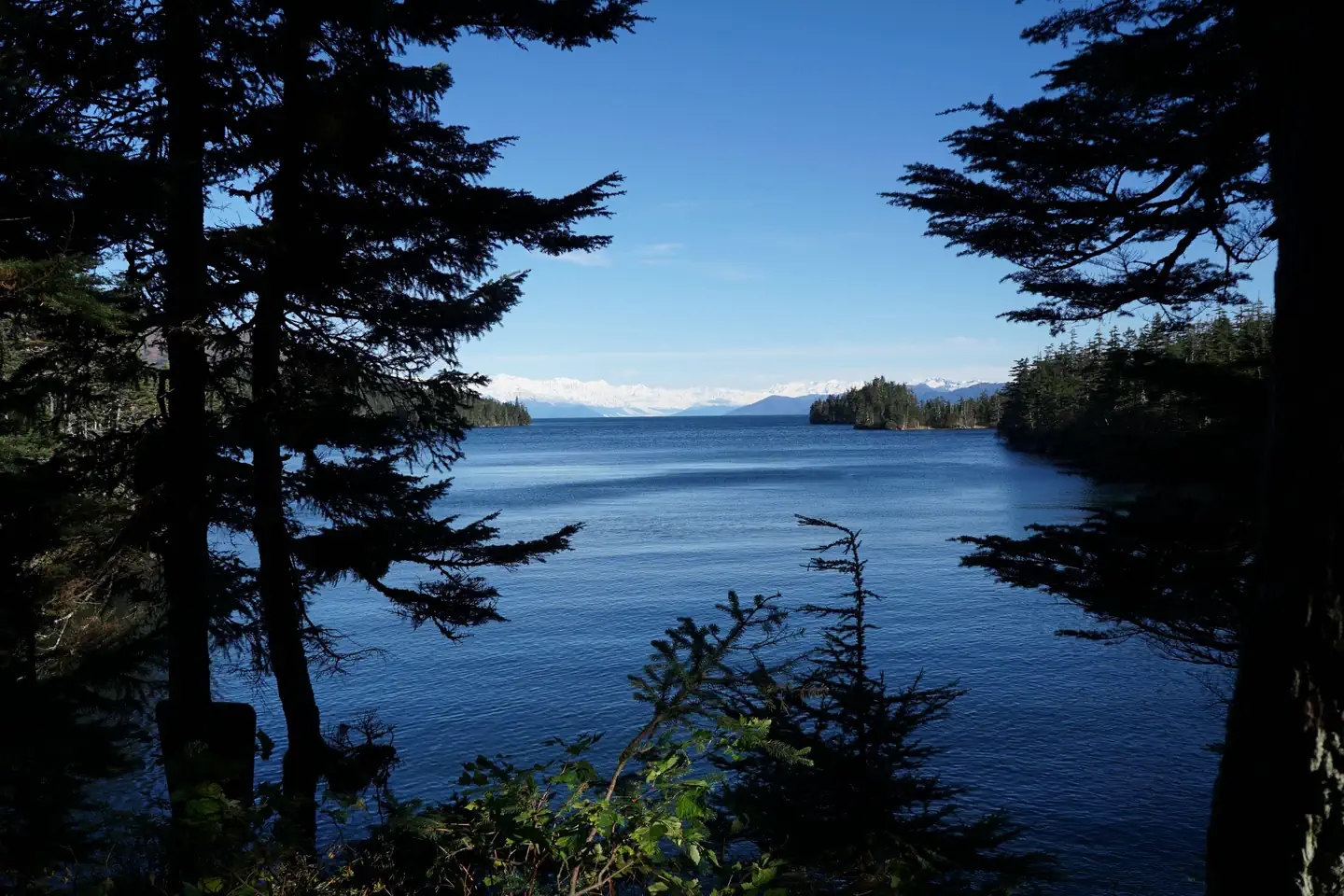 Paulson Bay Cabin