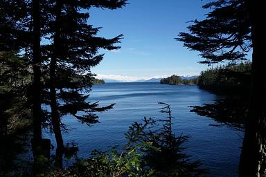 Paulson Bay Cabin