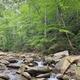 Creek at Curtis Creek Campground
