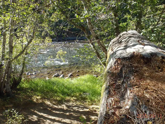 Cottonwood Campground - Naches River (WA)