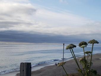 Gleneden Beach RV Park