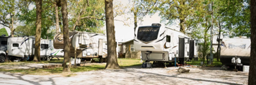 Ozark Canopy Springdale