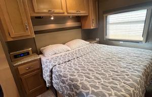 THANOS - 2015 Thor Motor Coach ACE 30.2