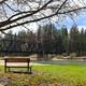 Priest River view