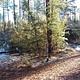 White Spar Campground Trail