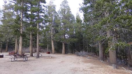 Palisades Group Campground