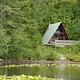 HARVEY LAKE CABIN1