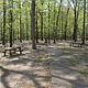 Cooper's Branch #2 Picnic Area