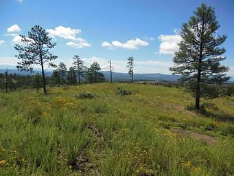 Ponderosa Group Campground (NM)