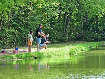 Scenic view of the pond with tree line and sky — represents campground’s waterfront/natural setting (gallery/pond photo on site).