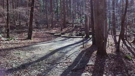 Andrew's Cove Campground
