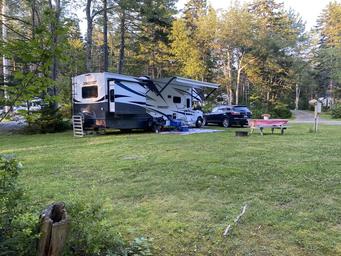 Sherwood Forest Campsite