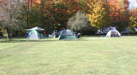 Forest Ridge Cabins and Campground