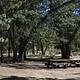 Shade & Picnic Tables of the San Gorgonio Campground....