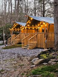 Exterior view of multiple Roamstead Safari Tents with glowing string lights in a wooded setting.